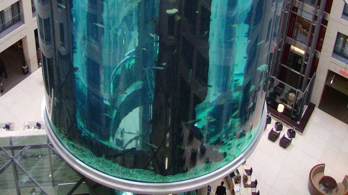 Ascensor dentro de un acuario